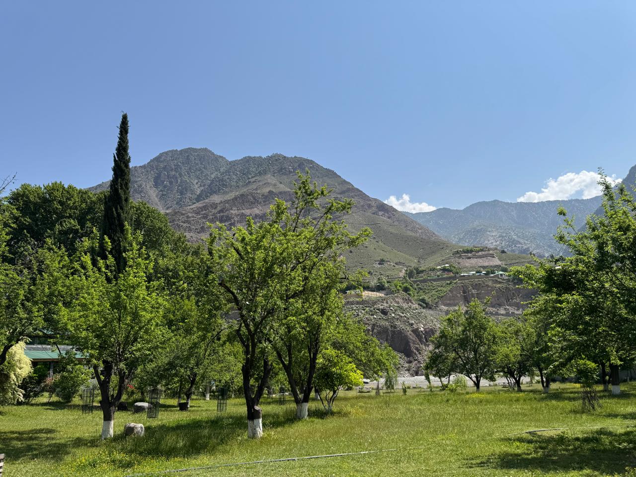 WhatsApp Image 2025-05-12 at 16.49.08